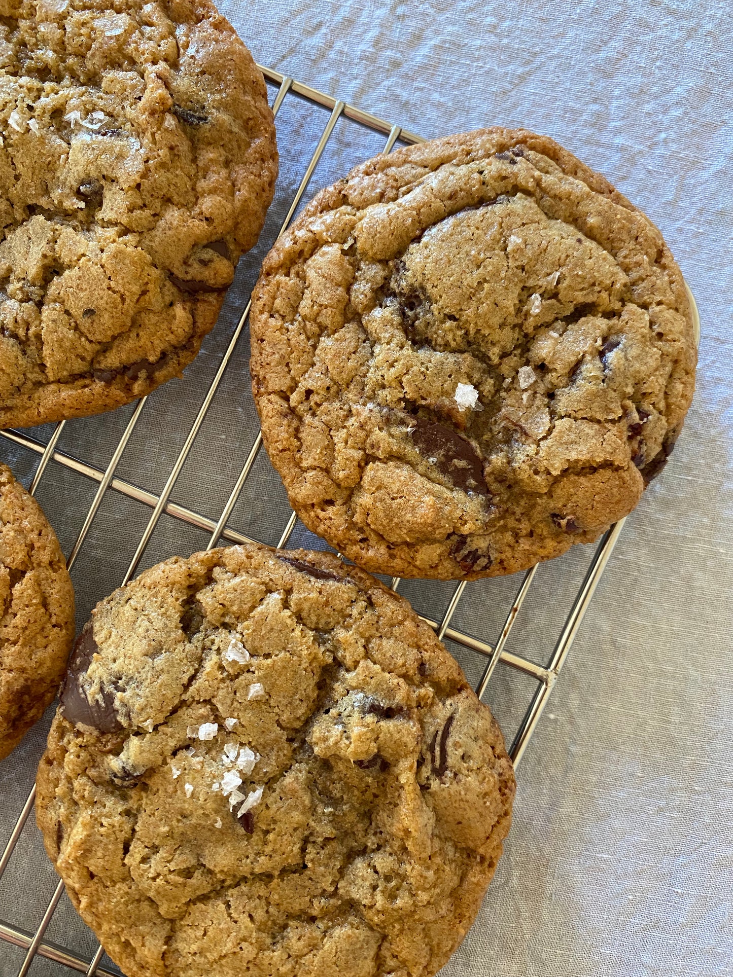 Introduction to Wholegrain Baking