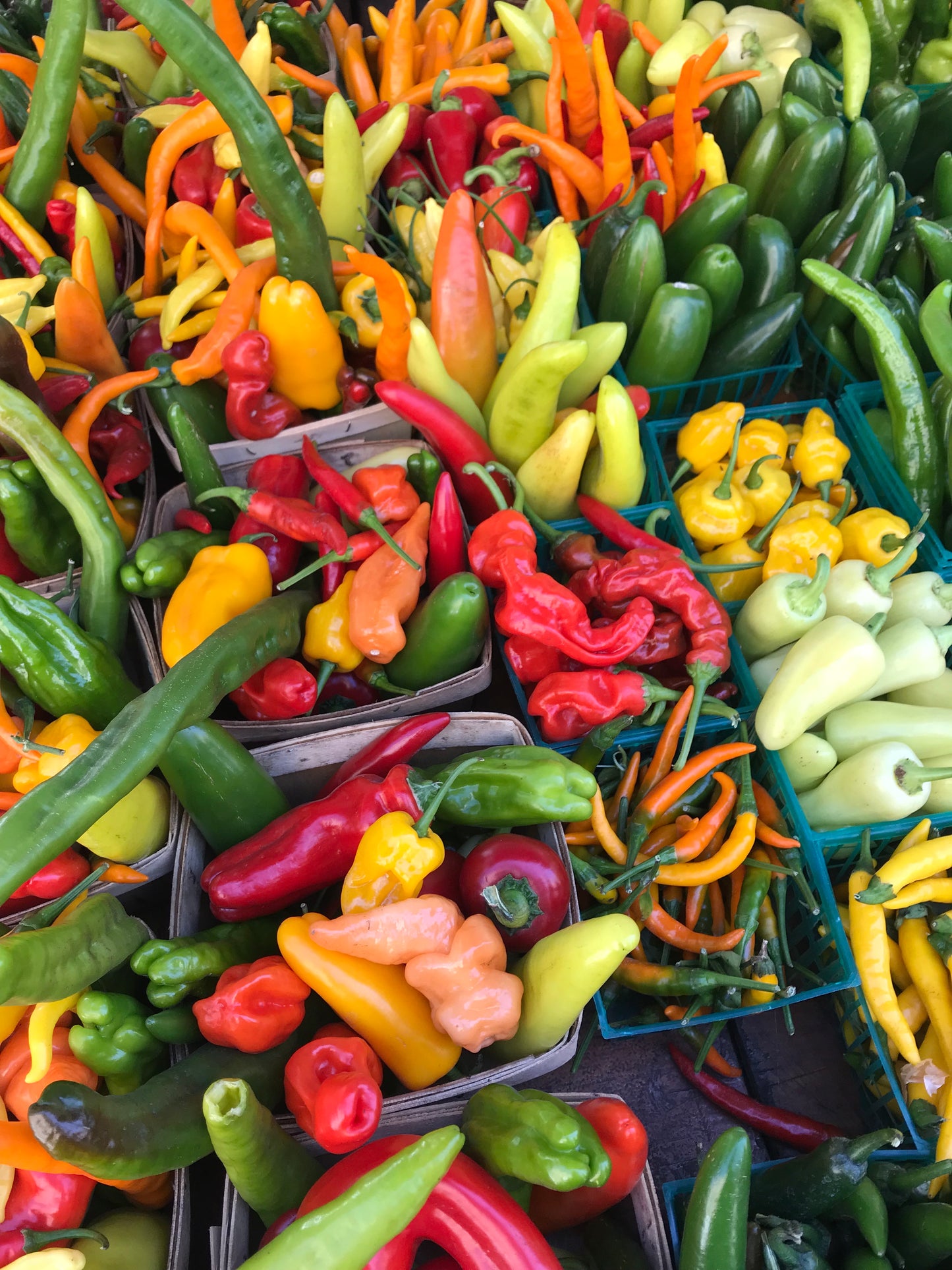 Preserve the Season Online Course - Summer