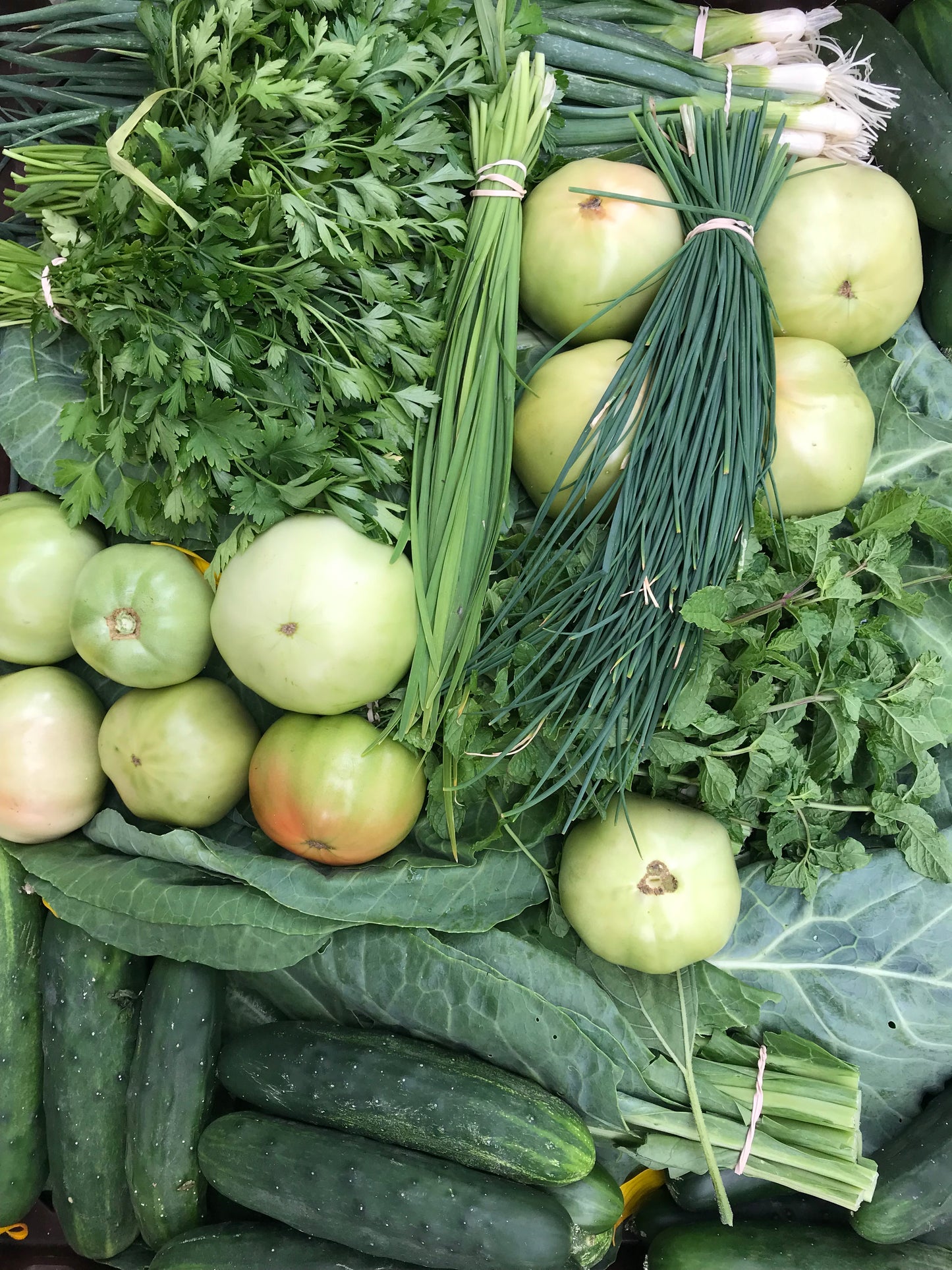 Preserve the Season Online Course - Summer